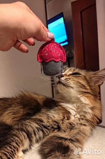 Игрушки для кошек с кошачьей мятой