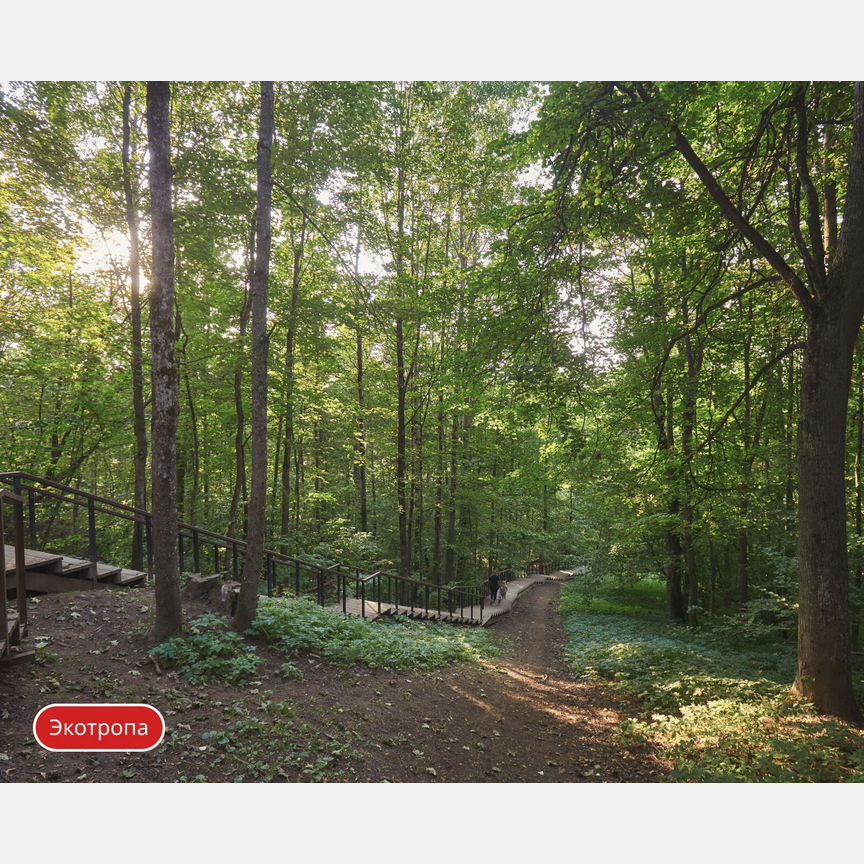 2-к. квартира, 51,2 м², 6/9 эт.