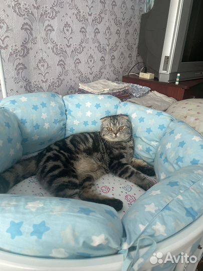 Бортики в кроватку