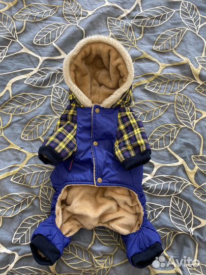 Одежда для собак Джек Рассел