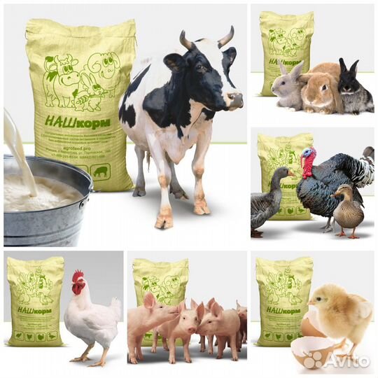Корма для с/х животных на рынке 