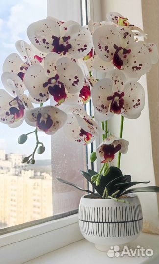 Орхидея искусственная