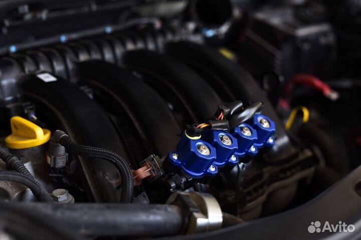 Премиальное Итальянское гбо 