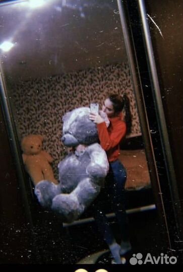 Плюшевый медведь