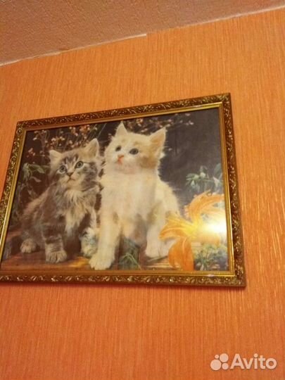 Картина котята