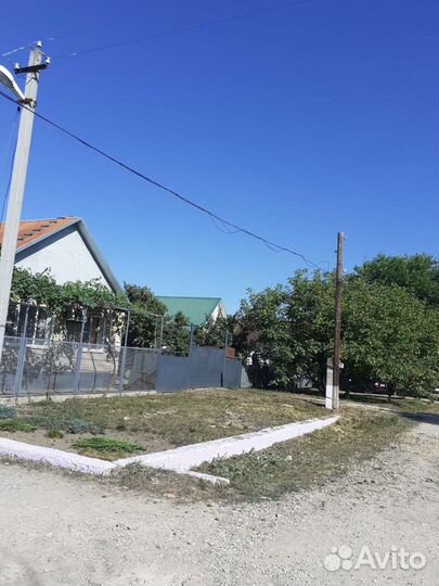 Спил деревьев