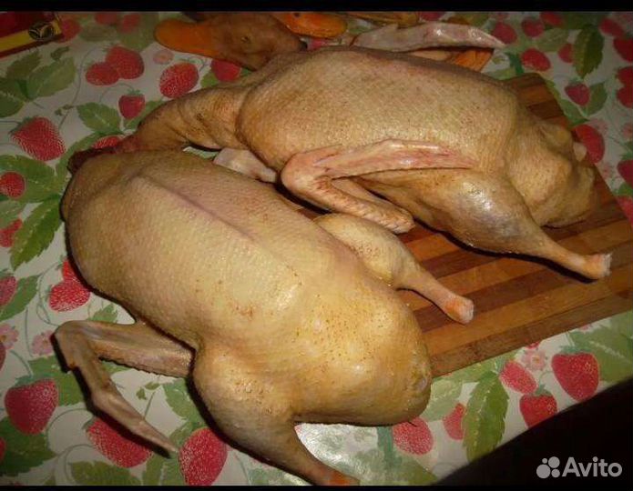 Мясо домашней утки