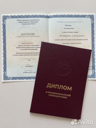 Кинолог / дрессировка собак