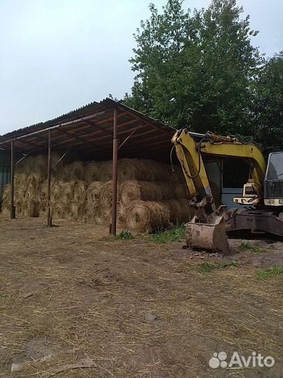 Сено в тюках