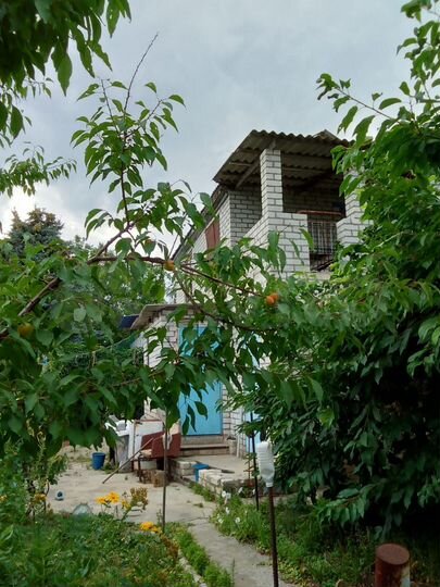 Дача 50 м² на участке 6,1 сот.