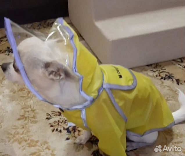 Дождевик с капюшоном для собак s желтый (унисекс)