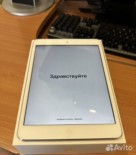 iPad mini 2 wifi cell 16 gb