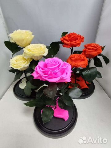 Роза в колбе оптом и в розницу