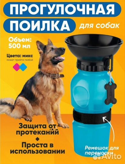 Зубная щетка и паста для собак