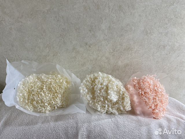 Стабилизированная гортензия купить в Санкт-Петербурге | Хобби и отдых ...