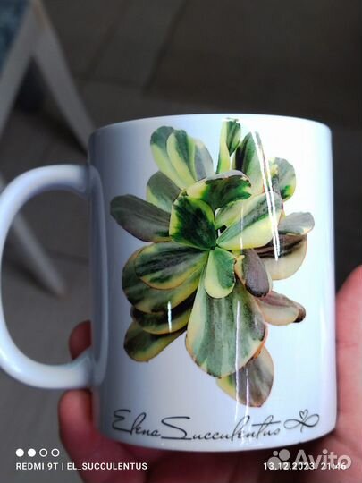 Кружка чашка 'Комнатные растения