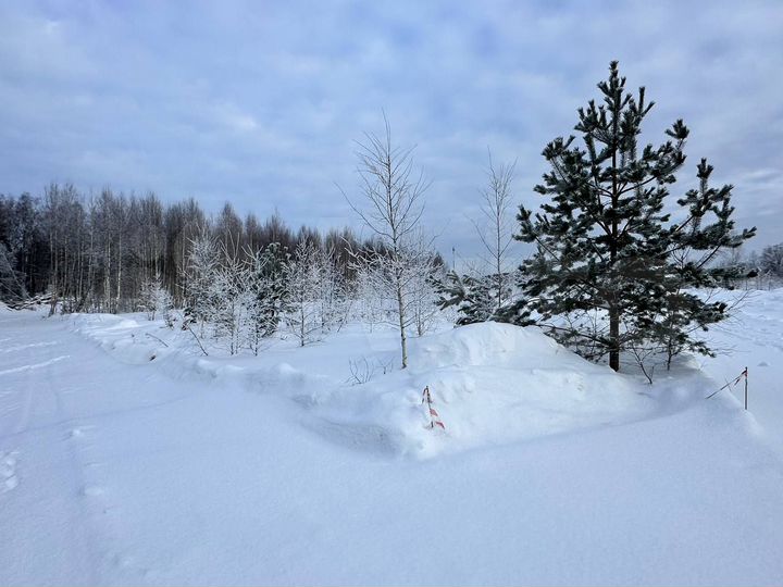 Участок 7,9 сот. (ИЖС)