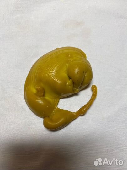 Отливка воском -Гадание Таро