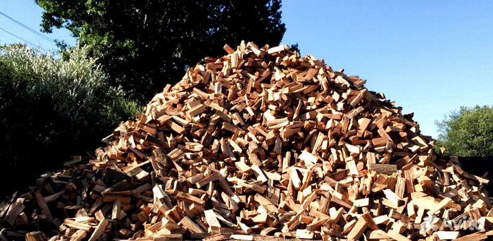 Дрова с Выборга