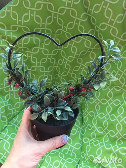 Фейка IKEA новая