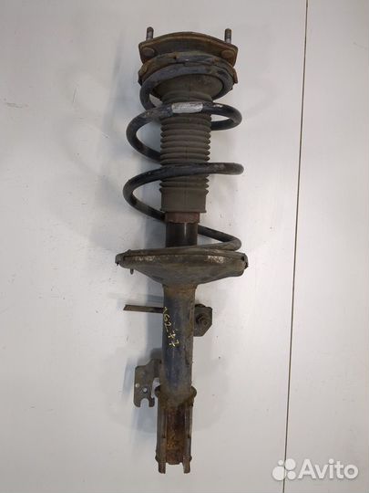 Амортизатор подвески Toyota Highlander 1, 2003