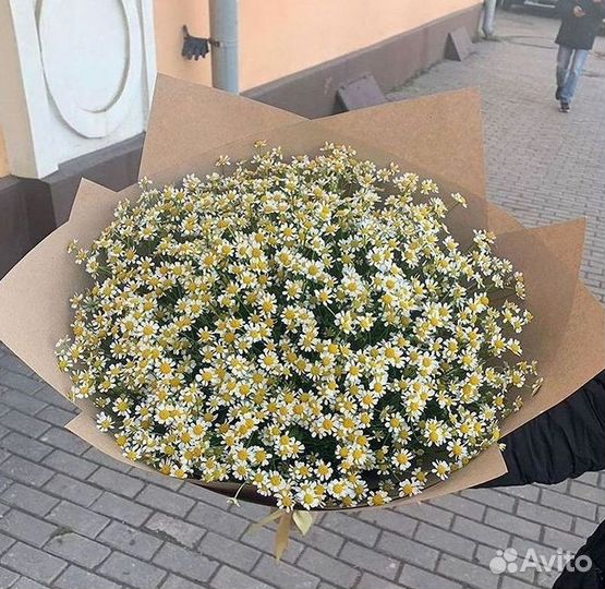 Букеты. Доставка ромашек