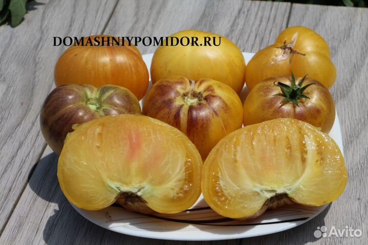 Семена коллекционных томатов