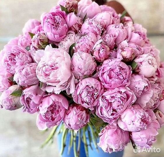 Пионы Букет пионов Доставка цветов