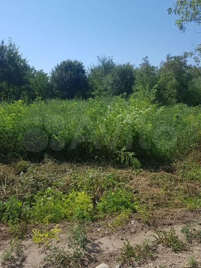 Участок 13,5 сот. (ИЖС)