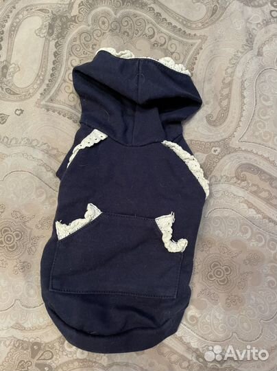 Одежда для маленьких собак