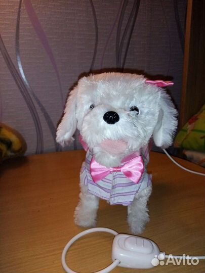 Интерактивная собака на поводке