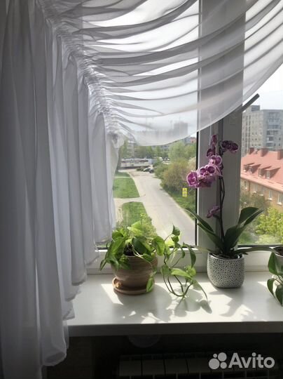 Тюль белая новая