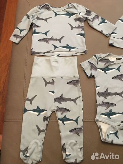 Комплект боди,ползункикофта шапка mjolk 68 Акула