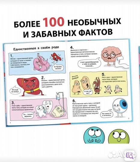 Новая книга факты о теле человека для детей