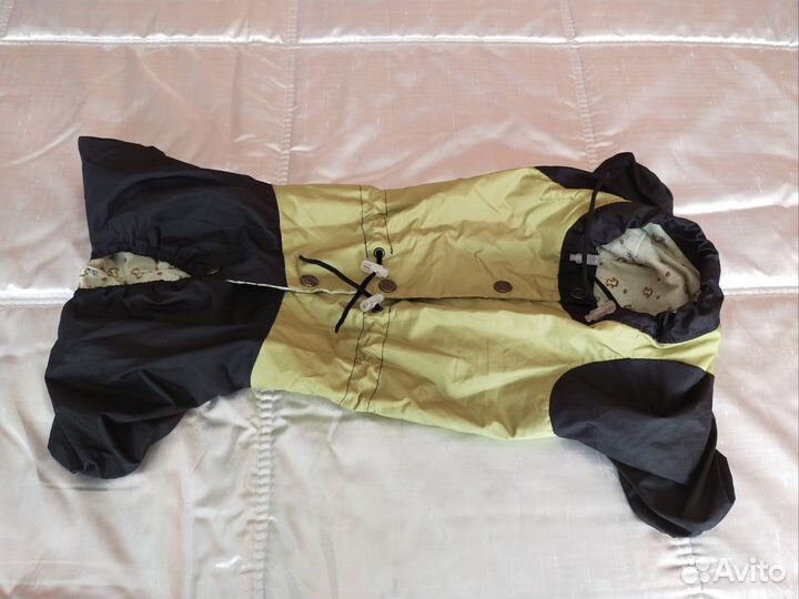 Комбинезон для таксы мальчика