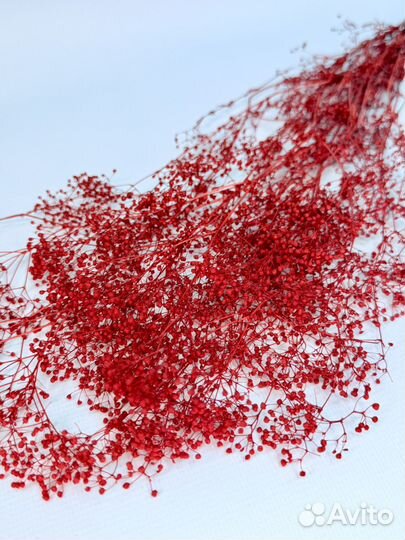 Стабилизированная гипсофила 