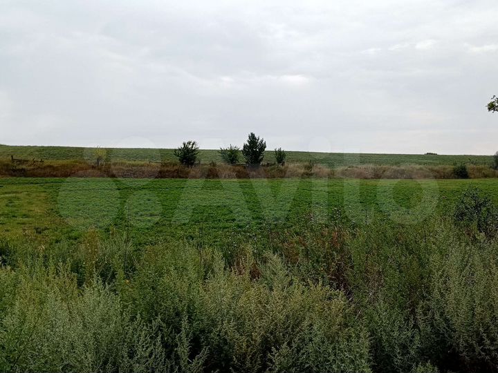 Участок 55 сот. (ИЖС)