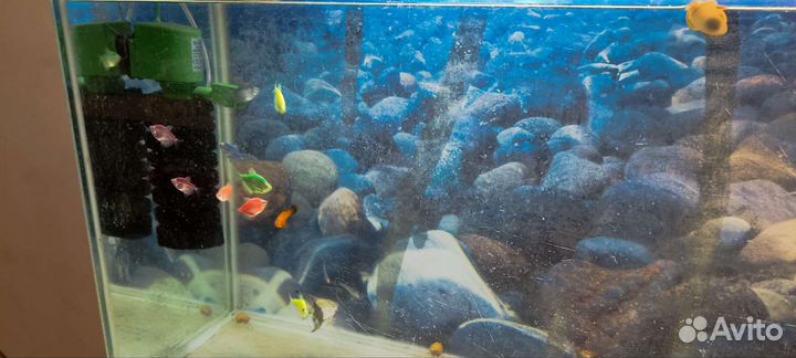 Аквариум