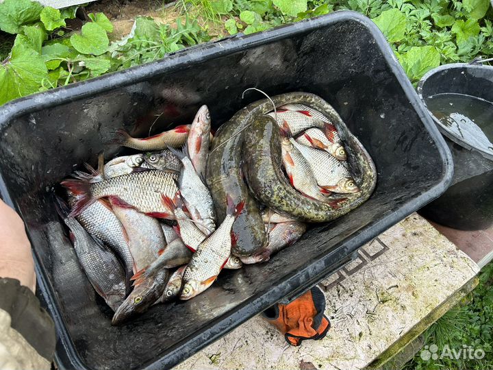 Прокат лодок. Рыбалка. Охота