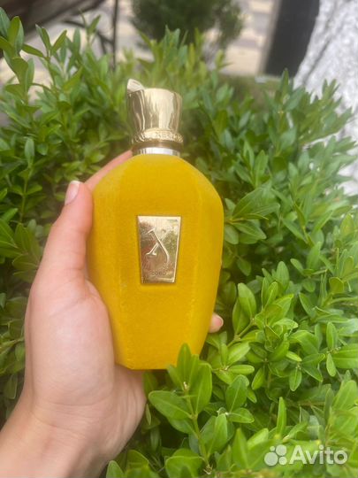 Духи женские мужские Xerjoff разные ароматы