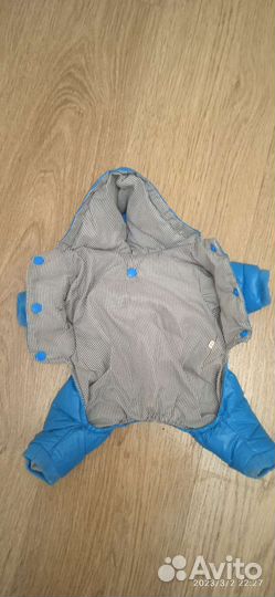 Одежда для собак