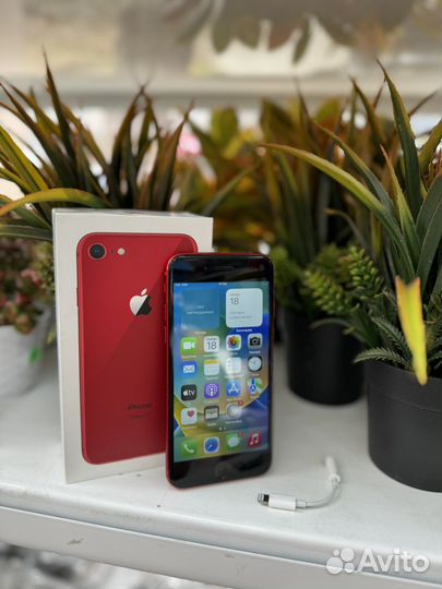 iPhone 8, 64 ГБ