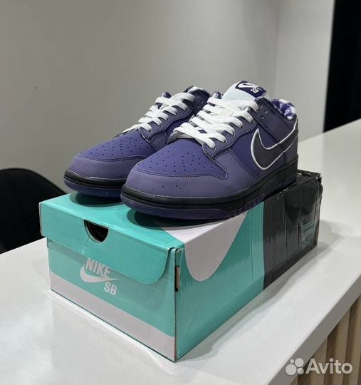 Nike Dunk Low SB Purple Lobster