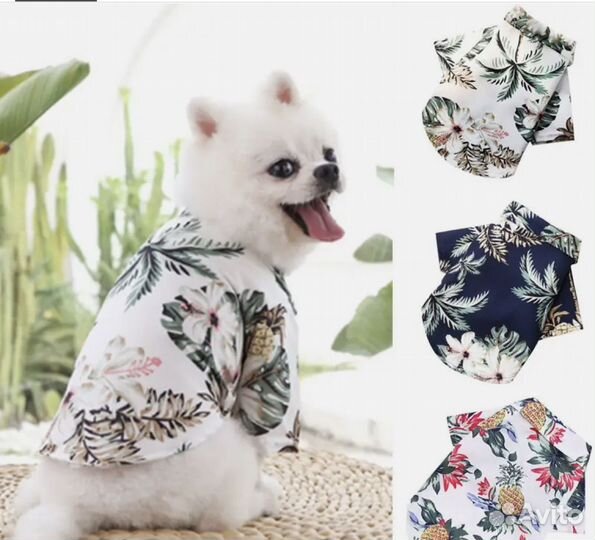 Амуниция для собак