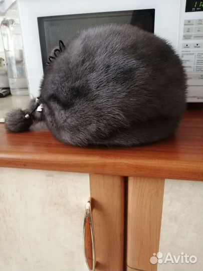 Берет, шапка