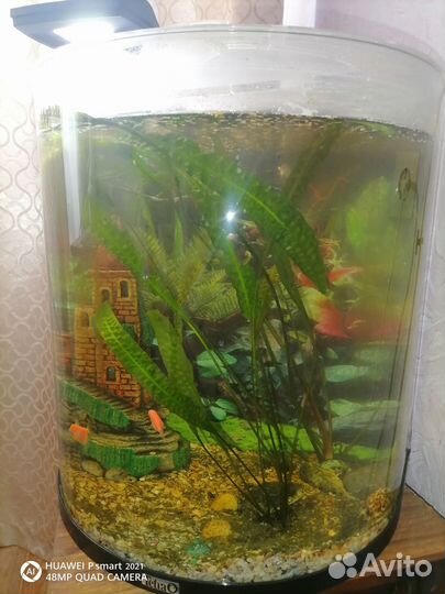 Аквариум