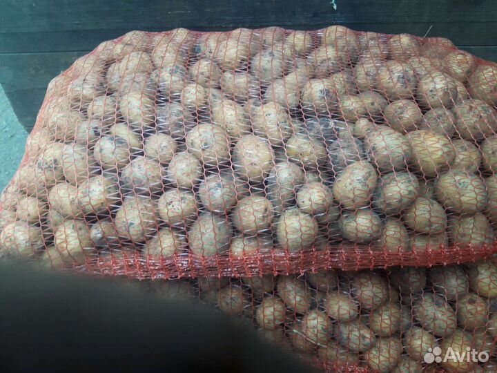 Картофель мелкий