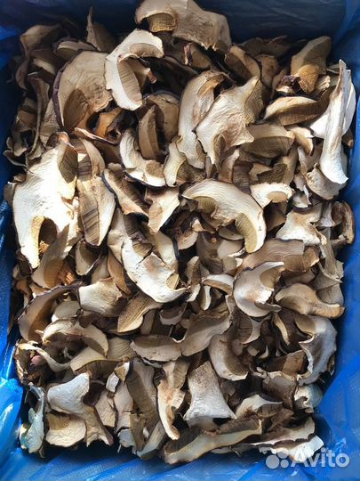 Cухие грибы