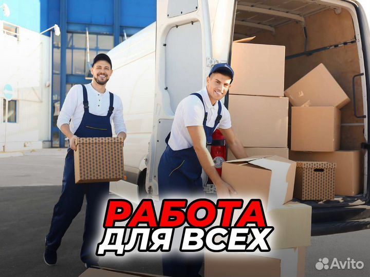 Сортировщик: начни работу на складе