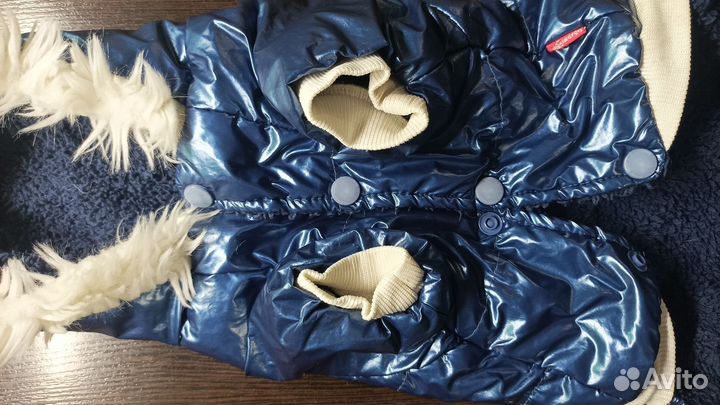 Зимний комбез для небольшой собаки